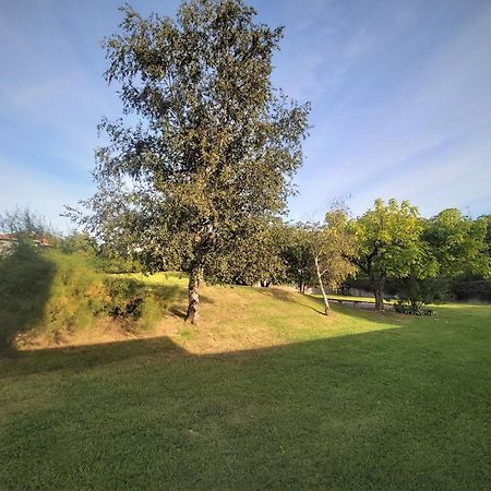 Appartement A Hendaye Avec Piscine Et A Cote De La Plage Zewnętrze zdjęcie